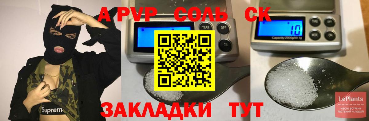 Alfa_PVP СК КРИС Киров