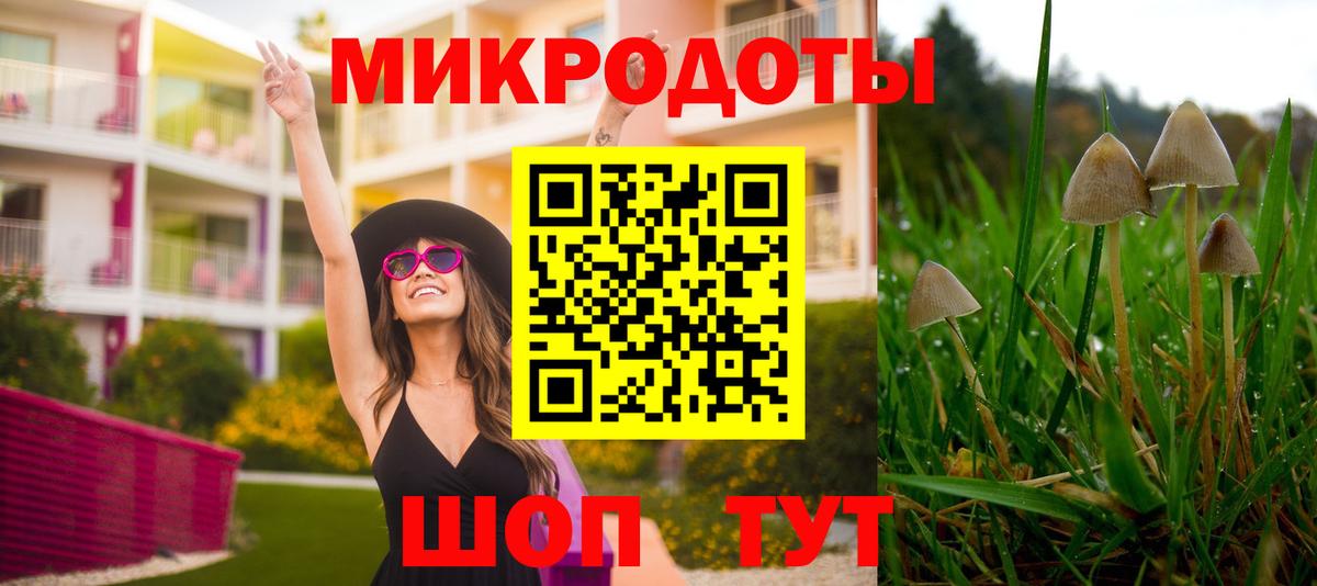Киров  Псилоцибиновые грибы прущие грибы  Вход с VPN 