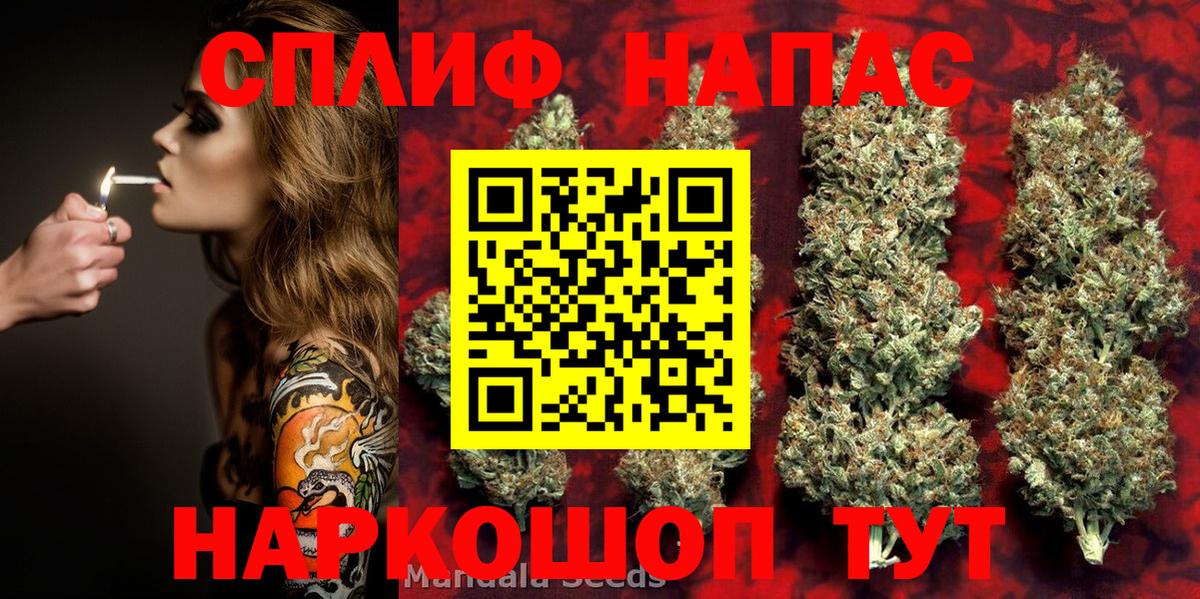 Бошки Шишки марихуана Киров